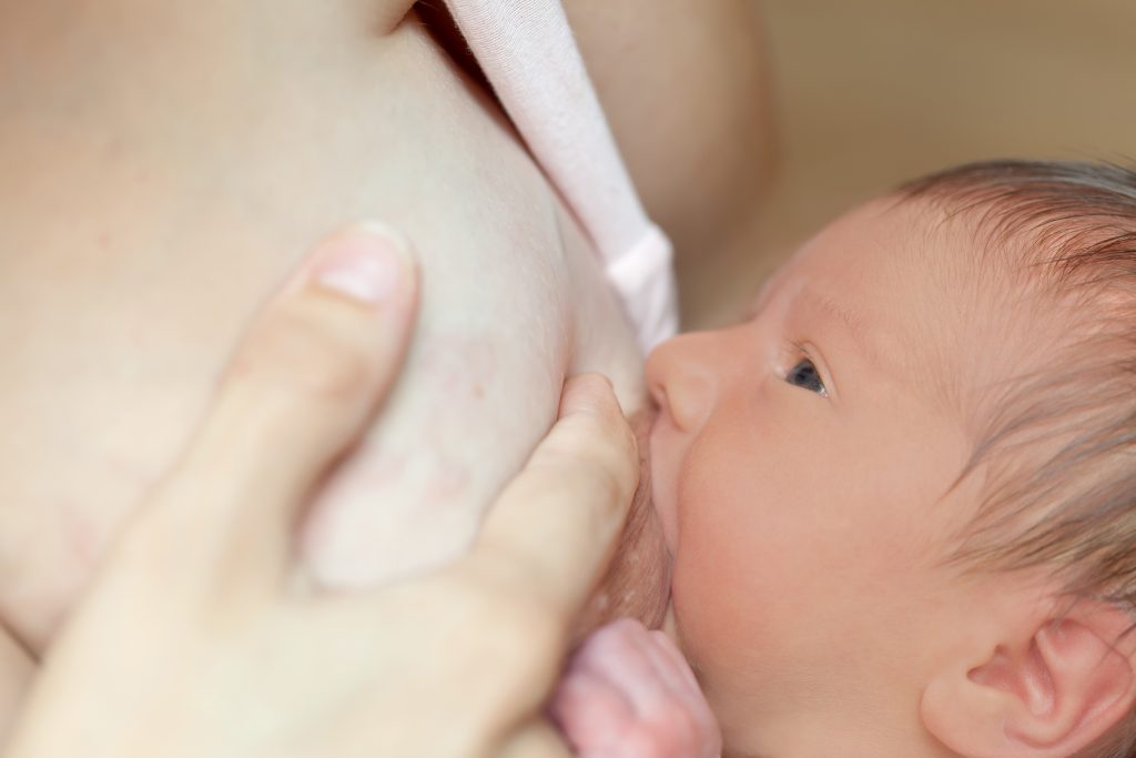 newborn baby sucks breast of the mother